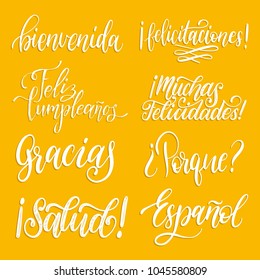 Bienvenida, Feliz Cumpleanos, Gracias translated from Spanish handwritten phrases Welcome, Happy Birthday, Thank You etc. Vector calligraphy set on yellow background.