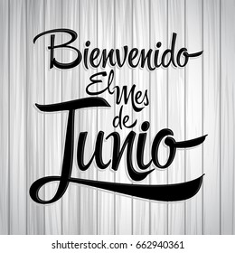 Bienvenido el mes de Junio - Welcome June spanish text, vector lettering message