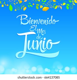 Bienvenido el mes de Junio - Welcome June spanish text, vector lettering message