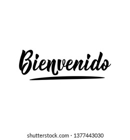 Bienvenido. Lettering. Translation from Spanish - Welcome. Modern vector brush calligraphy. Ink illustration.