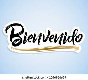 Bienvenido, Welcome spanish text - lettering vector illustration