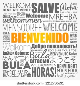 Bienvenido , Welcome in Spanish, word cloud in different languages, conceptual background