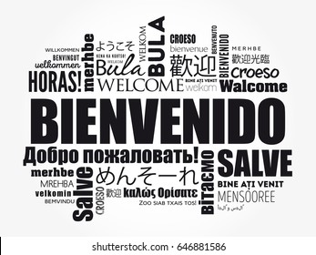 Bienvenido (Welcome in Spanish) word cloud in different languages, conceptual background