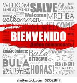 Bienvenido , Welcome in Spanish, word cloud in different languages, conceptual background