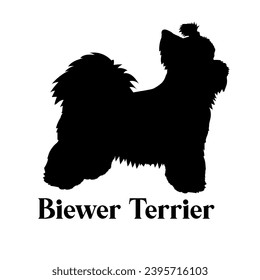 Biewer Terrier Dog silhouette dog breeds dog monogram logo dog face vector