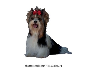 Biewer yorkshire terrier vector art. Color yorkie with a bow vector image
