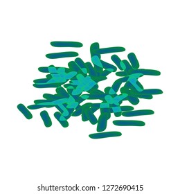 bifidobacteria. Bifidobacterium infantis. Probiotic, lactobacillus, bifidobacterium, probiotic, prebiotic. Infographics. Vector illustration on isolated background.