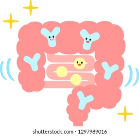 Bifidobacteria in the intestine