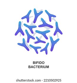 Bifidobacterium. Probiotic bacteria. Good bacteria and microorganism for human health. Vector illustration