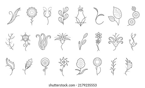 Big Abstract Set Doodle Elements Hand Drawn Collection Botanic Herbal Flora Leaf Branch Vine Flower Plant Elements F Vector Desgin Style