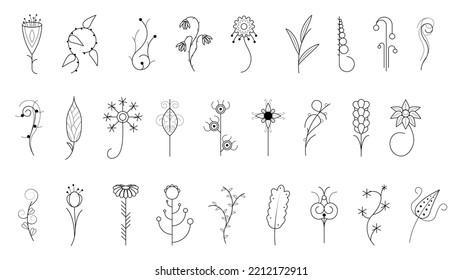 Big Abstract Set Doodle Elements Hand Drawn Collection Botanic Herbal Flora Leaf Branch Vine Flower Plant Elements F Vector Desgin Style