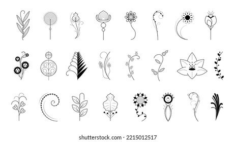 Big Abstract Set Doodle Elements Hand Drawn Collection Botanic Herbal Flora Leaf Branch Vine Flower Plant Elements F Vector Desgin Style