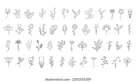 Big Abstract Set Doodle Elements Hand Drawn Collection Botanic Herbal Flora Leaf Branch Vine Flower Plant Elements F Vector Desgin Style