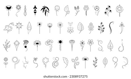 Big Abstract Set Doodle Elements Hand Drawn Collection Botanic Herbal Flora Leaf Branch Vine Flower Plant Elements F Vector Desgin Style