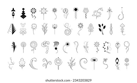 Big Abstract Set Doodle Elements Hand Drawn Collection Botanic Herbal Flora Leaf Branch Vine Flower Plant Elements F Vector Desgin Style