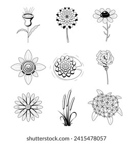 Big Abstract Set Doodle Elements Hand Drawn Collection Botanic Herbal Flora Leaf Branch Vine Flower Plant Elements F Vector Desgin Style