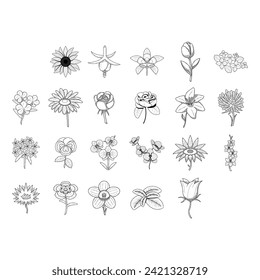 Big Abstract Set Doodle Elements Hand Drawn Collection Botanic Herbal Flora Leaf Branch Vine Flower Plant Elements F Vector Desgin Style