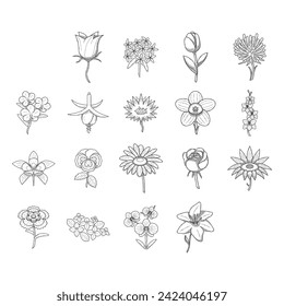 Big Abstract Set Doodle Elements Hand Drawn Collection Botanic Herbal Flora Leaf Branch Vine Flower Plant Elements F Vector Desgin Style