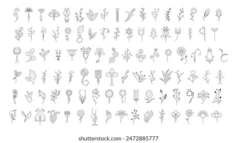 Big Abstract Set Doodle Elements Hand Drawn Collection Botanic Herbal Flora Leaf Branch Vine Flower Plant Elements F Vector Desgin Style