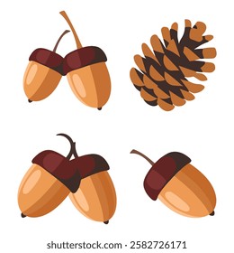 Big Acorns and Brown Fir or Pine Cones