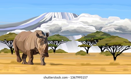 Big African rhino walking in savanna in Africa vector illustration