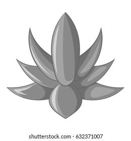 Big agave icon in monochrome style isolated on white background vector illustration