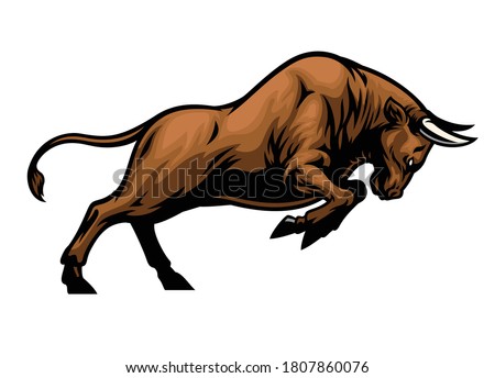 big aggressive muscle bull attacking