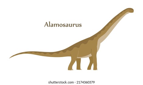 Big alamosaurus with a long neck and tail. Herbivorous dinosaur of the Jurassic period. Prehistoric lizard. Vector cartoon illustration isolated on a white background