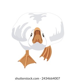 Big angry goose that is running and going to bite probably. Goose male bird attacking and defending the flock. Vector illustration isolated on white