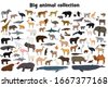 animal collection icon