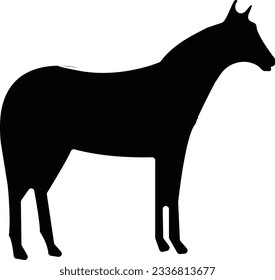 Big animals set for coloring book. Outline vector for children. Cute characters. Farm, forest and jungle animals.