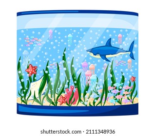 Big aquarium isolated on white background. Beautiful tanks jellyfish, shark, stingray, fish, algae, corals, bubbles. Colourful cartoon flat style. Vector illustration.
