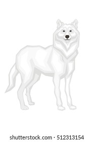The big Arctic wolf.  Vector image of a predatory animal. Isolated on a white background.