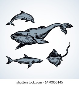 Big atlantic flipper baleen breach on white aqua background. Freehand outline black ink hand drawn large zoo fin beast character pictogram logo emblem in art retro doodle cartoon style pen on paper