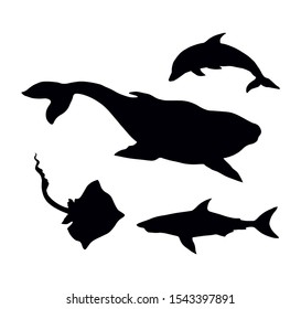 Big atlantic flipper baleen breach jaw on white aqua background. Dark ink hand drawn large zoo fin float tail beast character pictogram logotype emblem design in art retro engrave contour print style