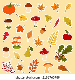Big autumn forest set of stickers. Collection of fallen leaves, mushrooms, acorns, berries, twigs, fruit and vegetables. Vector illustration.