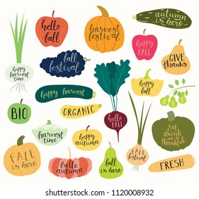 Big autumn harvest set with hand written calligraphy lettering quotes in fruits and vegetables. Isolated objects on white background. Vector illustration. Flat style design. Concept fall, Thanksgiving