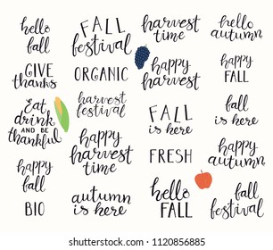 Big autumn harvest set with hand written brush calligraphy lettering quotes. Isolated objects on white background. Vector illustration. Flat style design. Concept for fall, Thanksgiving.