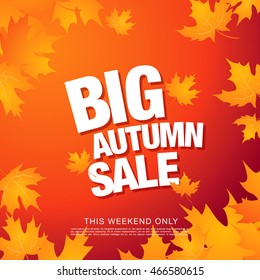 Big autumn sale