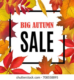 Big Autumn Sale banner template with black simple frame on tender fall leaves background. Shop market poster for your autumn design. Vector illustration.