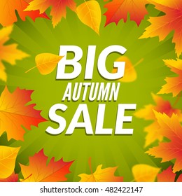 Big autumn sale design template poster. Fall promotional flyer. Discounts offers with leaves.