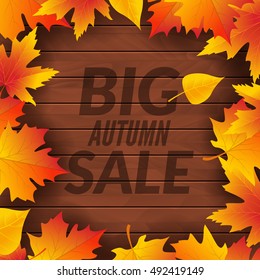 Big autumn sale design template poster. Fall promotional flyer. Autumn Discounts offers design with leaves on wooden background.