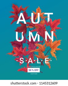 Big Autumn sale. Fall sale trendy design template. Can be used for flyers, banners or posters. Vector illustration with colorful autumn leaves Big Autumn sale. Fall sale trendy design template. Can be used for flyers, banners or posters. Vector illustration with colorful autumn leaves