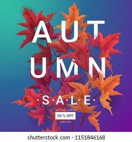 Big Autumn sale. Fall sale trendy design template. Can be used for flyers, banners or posters. Vector illustration with colorful autumn leaves 