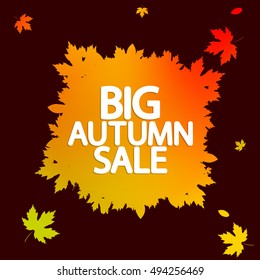 Big Autumn Sale, maple leaves, poster design template, vector illustration