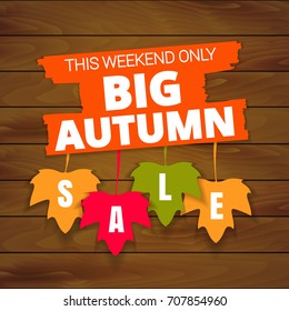 Big autumn sale offer, banner template. Colored maple leaf with lettering, isolated on wooden background. Fall leaf sale tags. Shop market poster design. Vector illustration. EPS 10