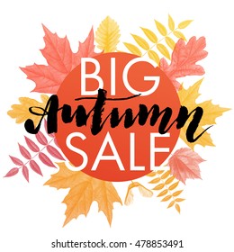 Big Autumn sale red circle banner. Vector discount offer with autumnal red maple, orange oak, yellow rowan foliage on white background. Hand drawn autumn signature lettering.