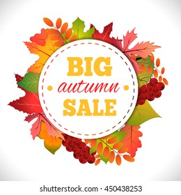 Big autumn sale. Autumn typographical background with autumn leaves. Fall leaf. Vector illustration EPS 10.