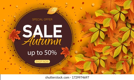 Big autumn sale. Autumn sale vector background.