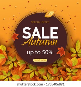 Big autumn sale. Autumn sale vector background.